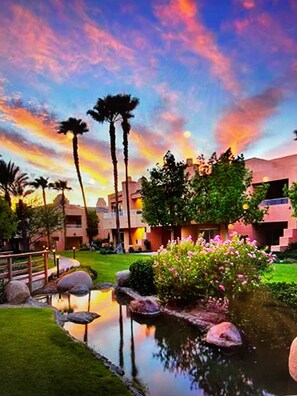 Experience the tranquil beauty of our garden, featuring a serene pond and lush greenery.