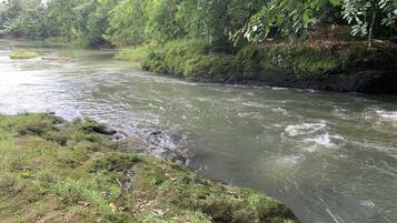 A river flowing through a forested area with moss-covered rocks and dense greenery.