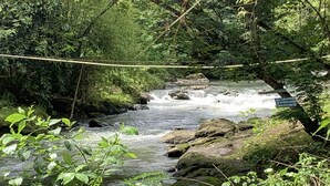 Un pont de corde enjambe une rivière aux eaux vives, le tout étant entouré d’une végétation luxuriante.
