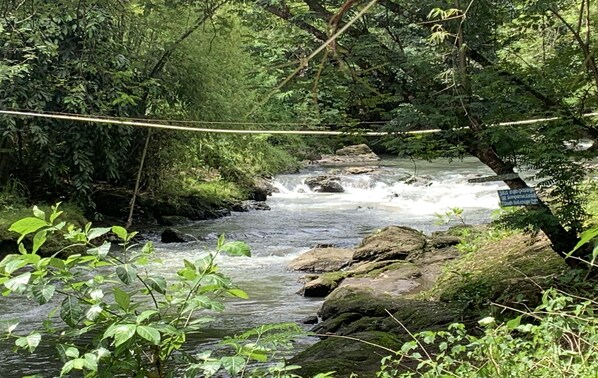 A rope bridge over a flowing river surrounded by dense greenery. - TERATAI BIRU RIVER CAMPING GROUND (Srimulyo)