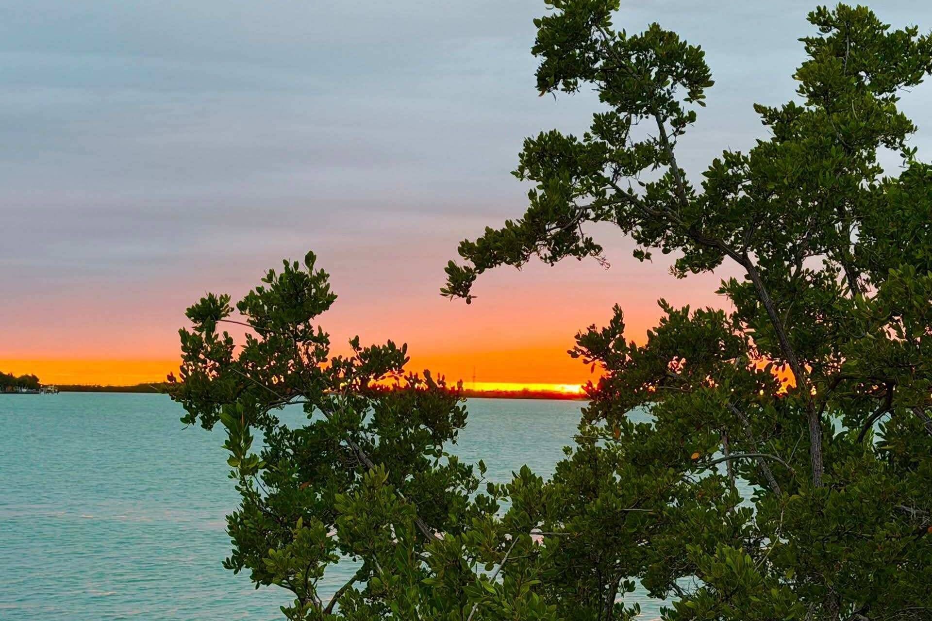 Un atardecer sobre un cuerpo de agua, con árboles enmarcando la vista.