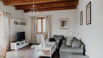 TV, fireplace, DVD player, video library