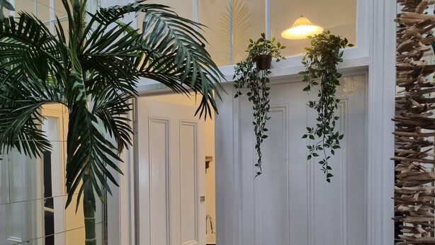 Een gang met witte deuren, een grote potplant en hangende begroeiing.