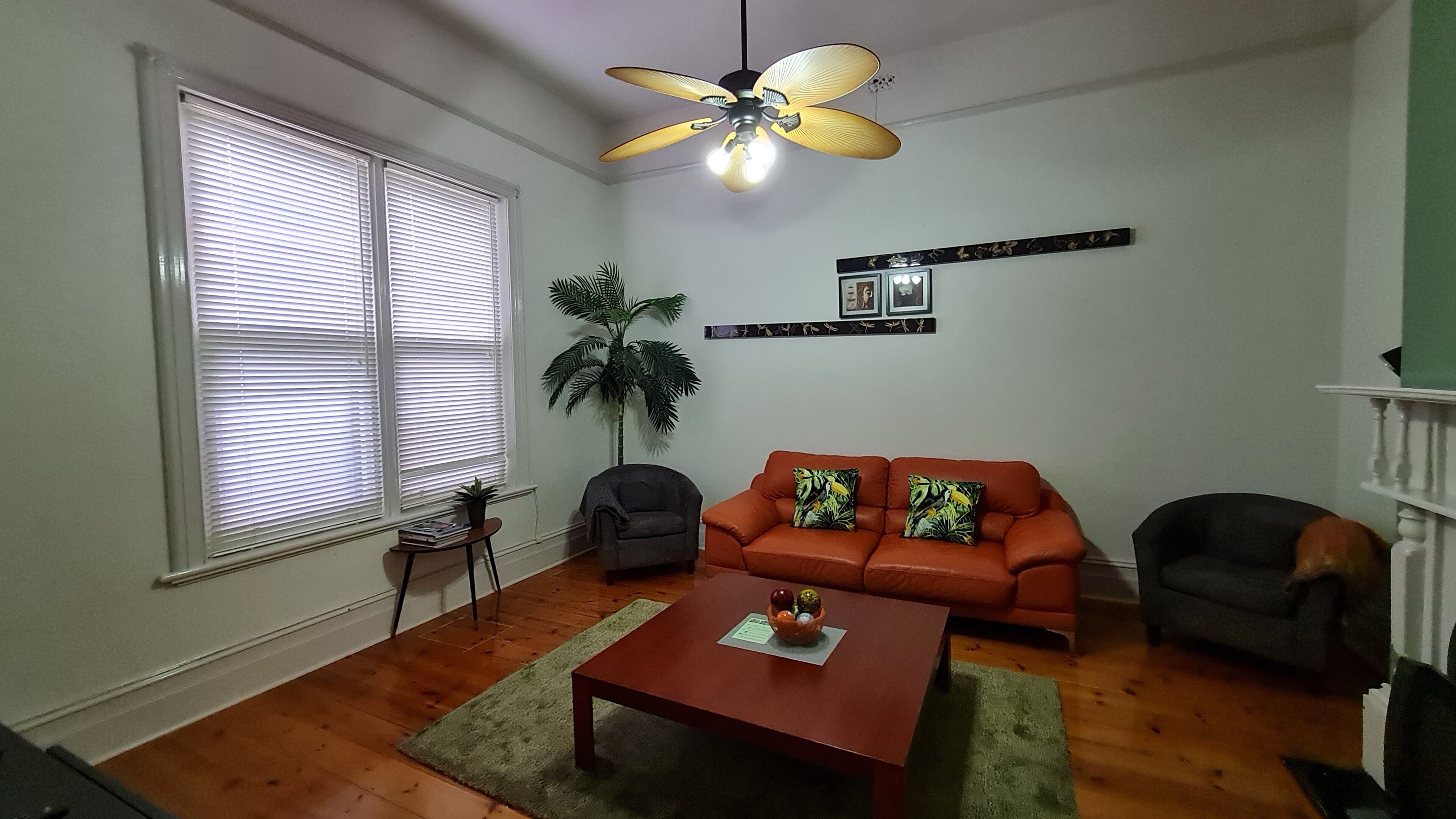 A living room with a wooden floor, a ceiling fan, a sofa with tropical cushions, a small table with a fruit bowl, and a potted plant.