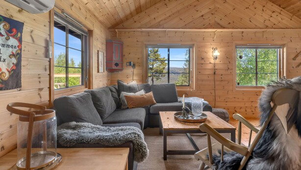 Een gezellig interieur van een chalet met een houten plafond, een bank, een tafel en een stoel.