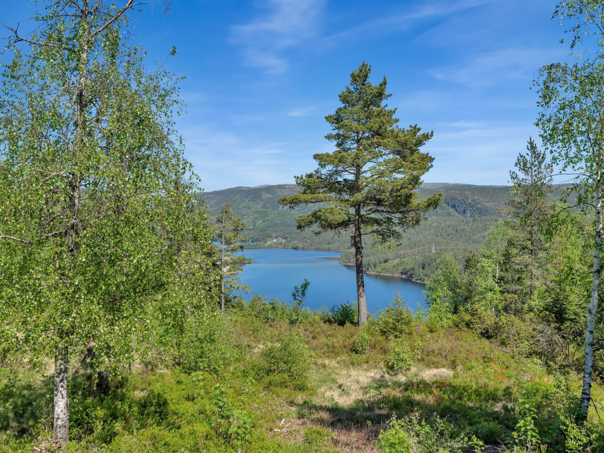Et naturligt landskab med en sø, omgivet af træer og bakker.