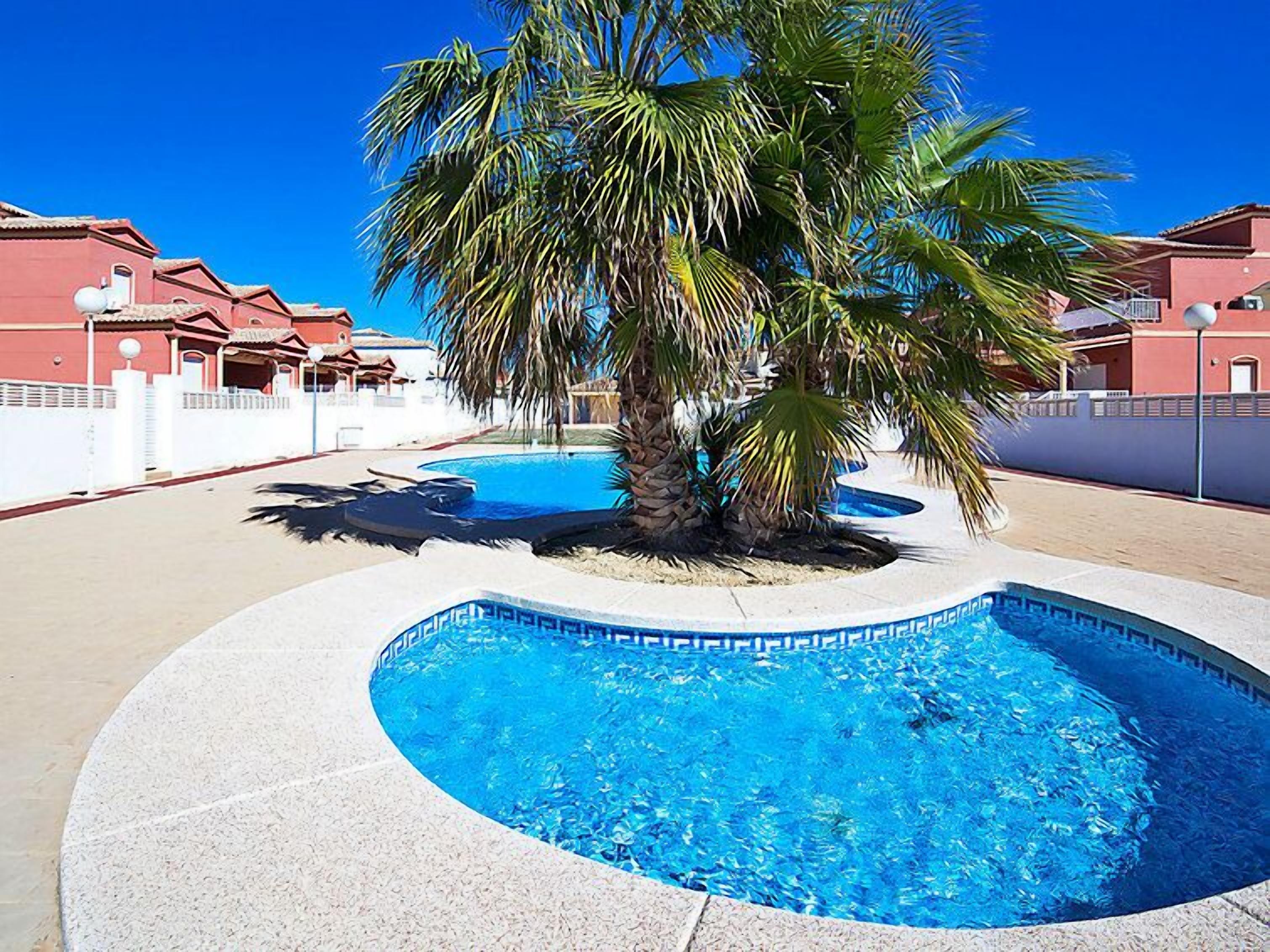 Ein Swimmingpool mit einer zentralen Palme, umgeben von einem weißen Zaun und roten Gebäuden.