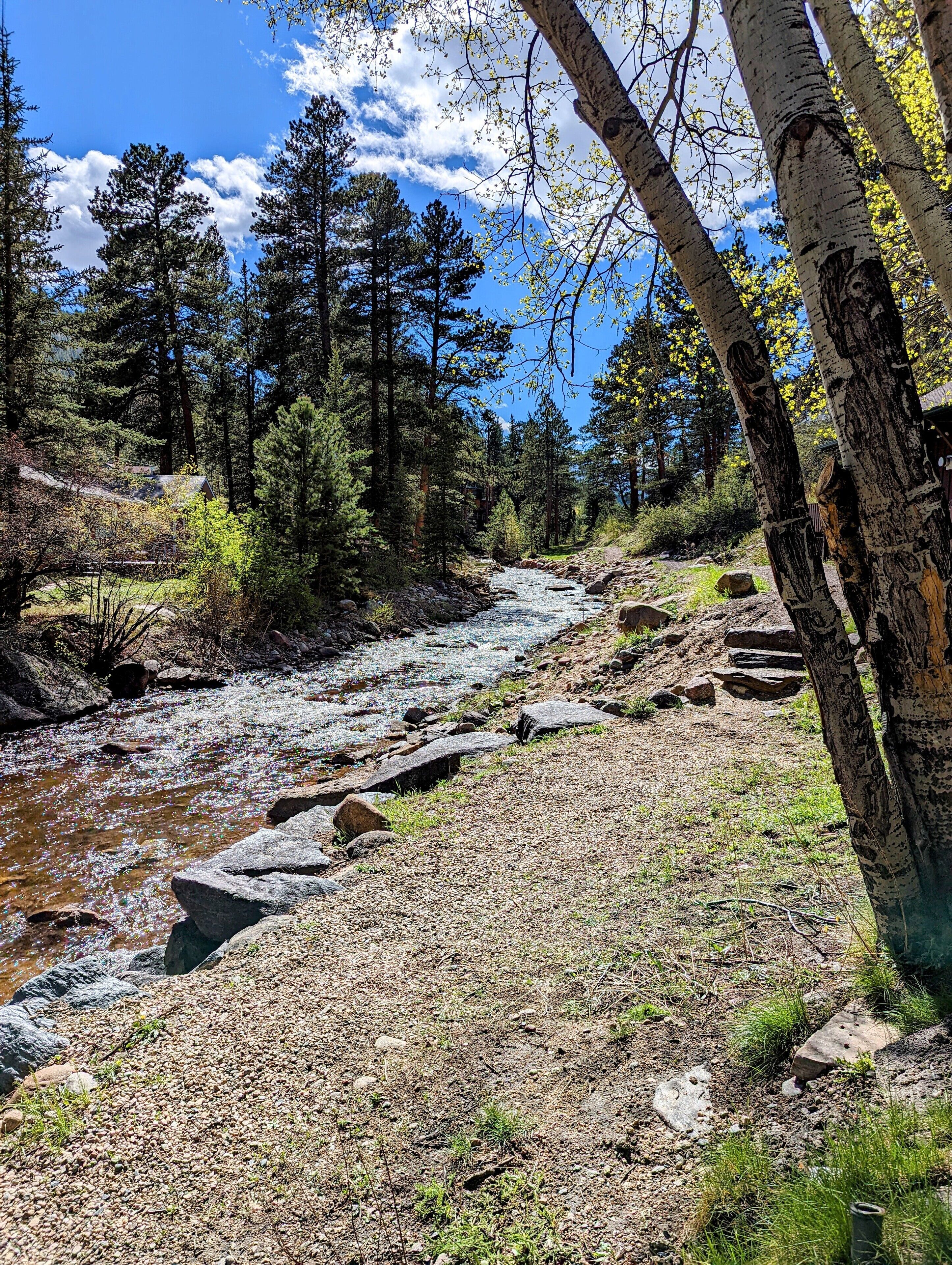 Ein Fluss fließt durch ein bewaldetes Gebiet, gesäumt von Felsen.