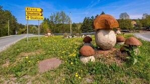 Oklassificerad bild, 5 av 48, knapp
