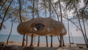 Un abri de plage doté d’une ouverture circulaire, entouré d’arbres et bordé par une plage de sable.