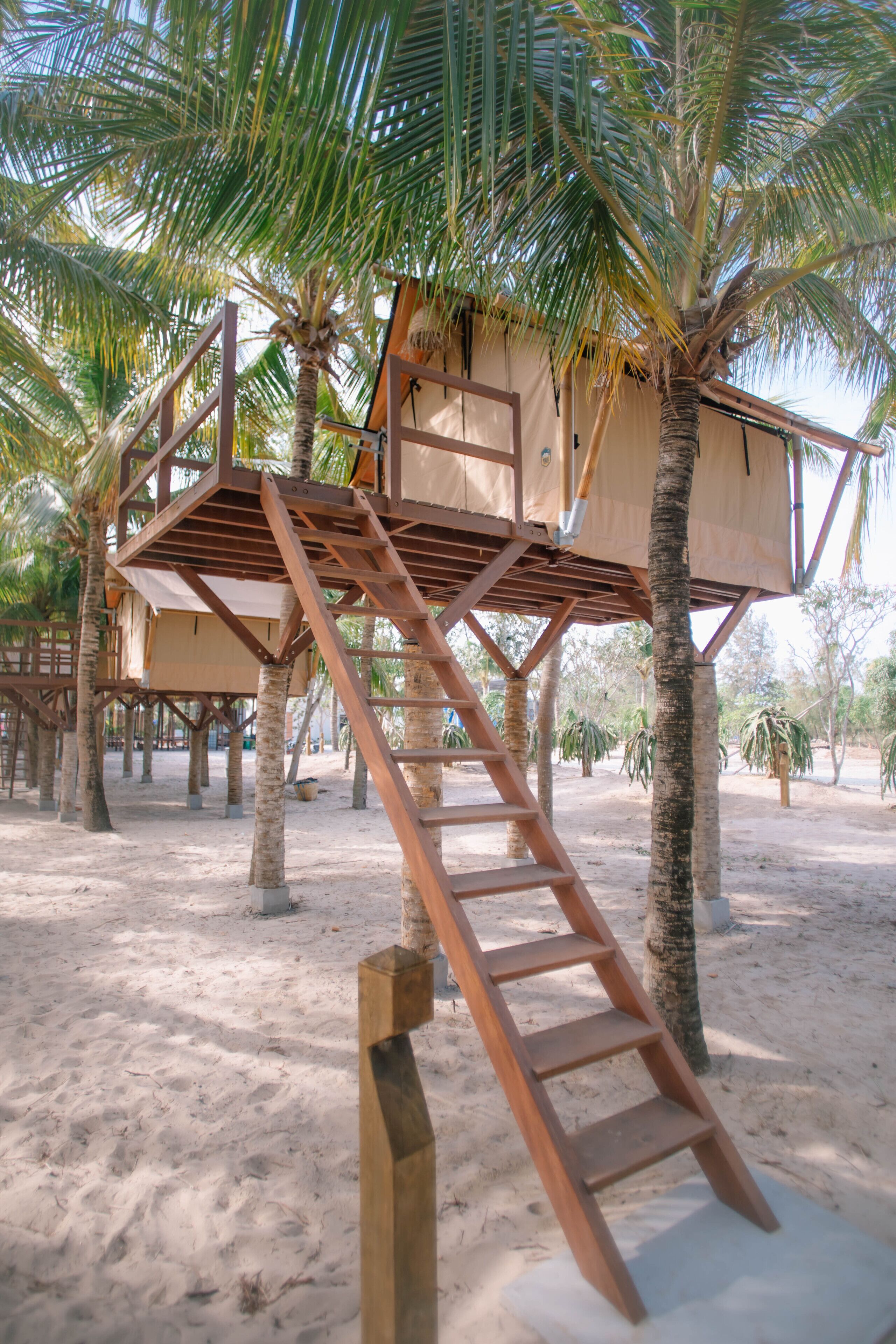 A treehouse structure with a wooden ladder leading up to it, surrounded by palm trees on a sandy ground.