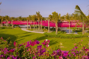 Building design - Hola Beach-Beach Club & Eco Glamping Resort (Ham Thuan Nam)