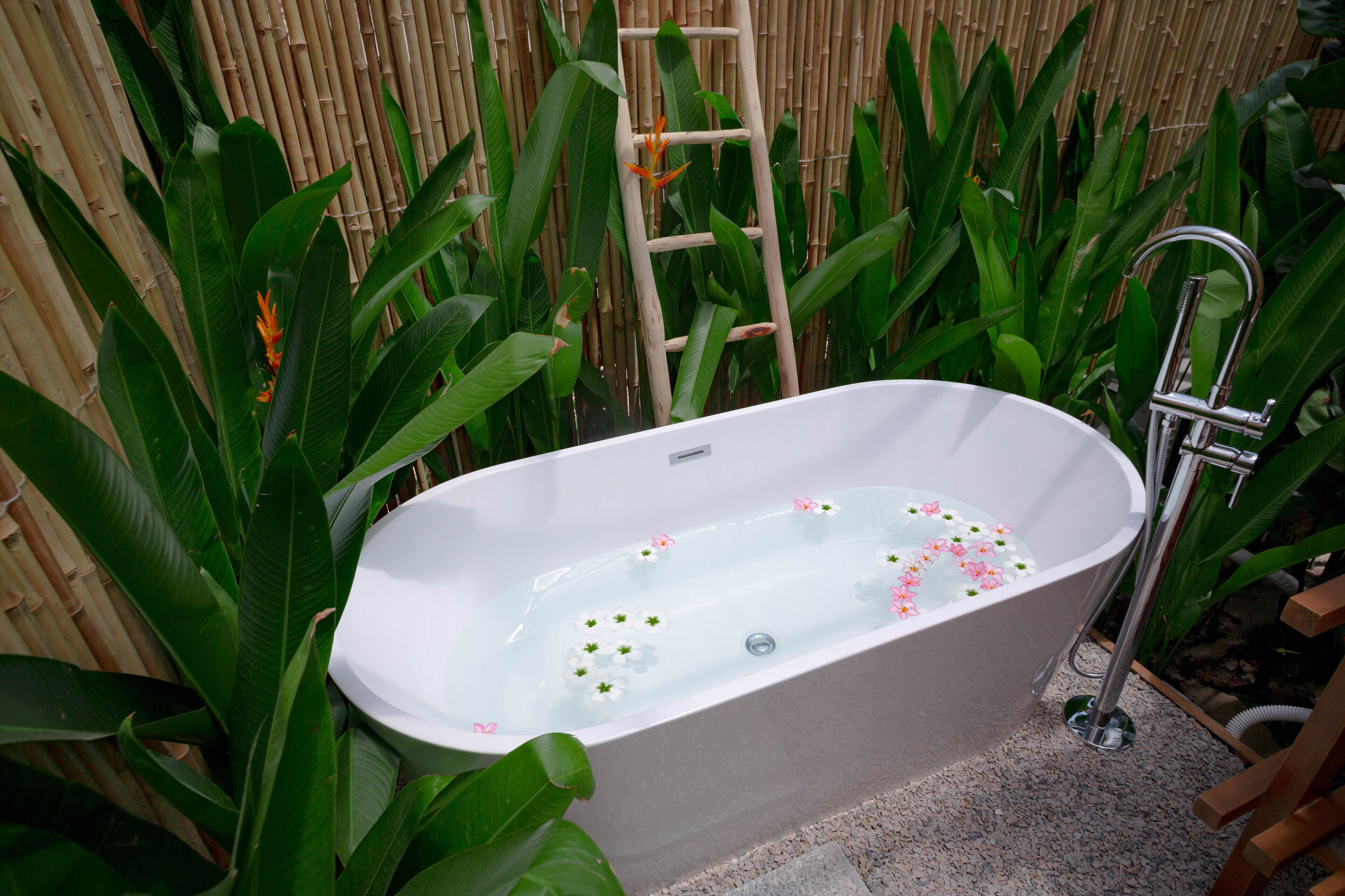 A freestanding bathtub with a bamboo backdrop, surrounded by lush green foliage.