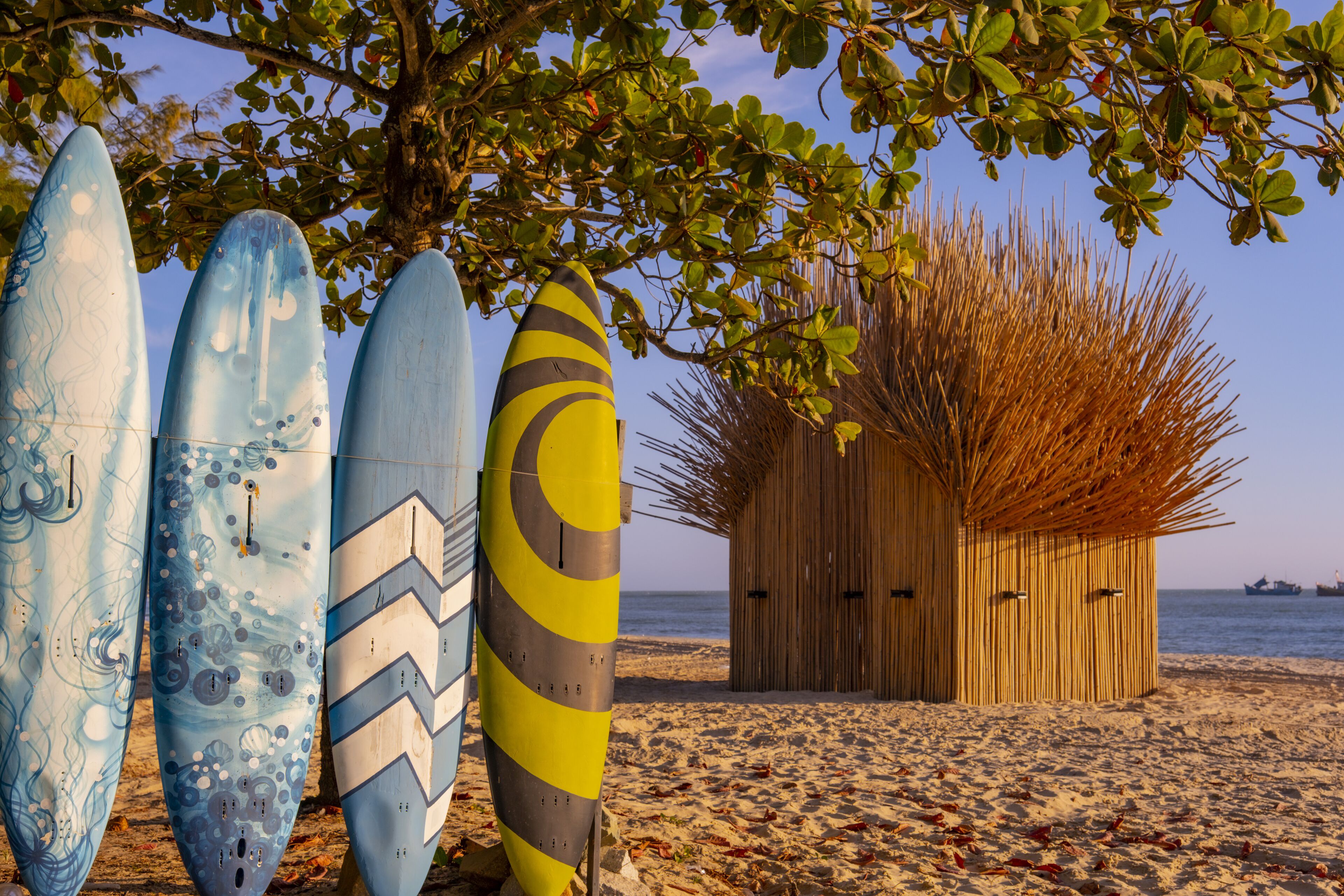 Surfboards leaning against a tree on a sandy beach, a wooden hut, and the ocean in the background.