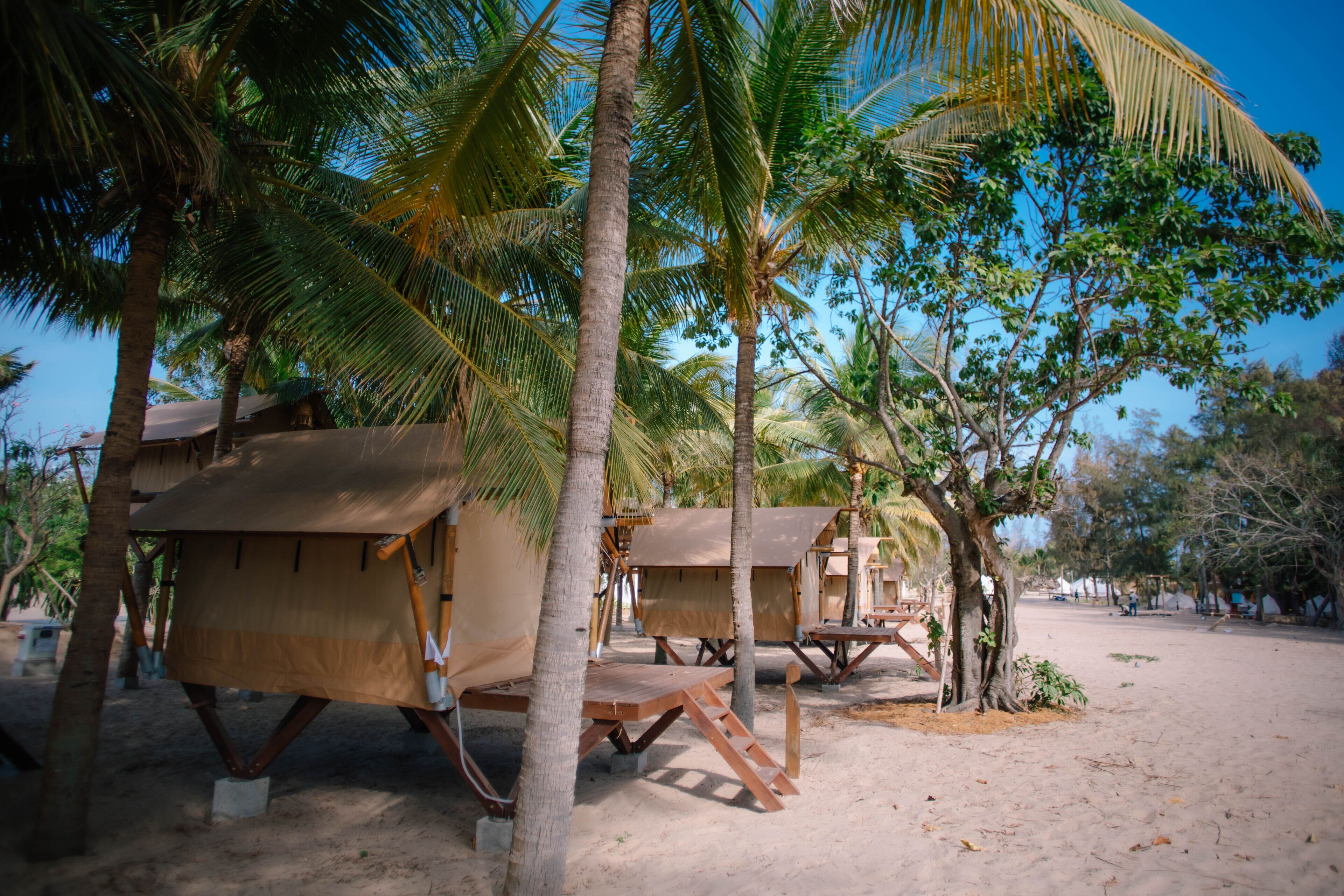 Unterkunft am Strand mit Holzgebäuden, Palmen und blauem Himmel.