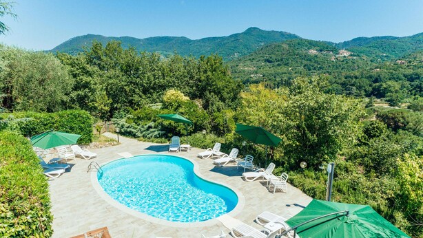 A swimming pool with lounge chairs and umbrellas, surrounded by lush greenery and mountains in the background.