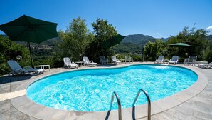 Piscina con sillones de descanso y sombrillas, rodeada de árboles y montañas.