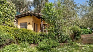 Ein Haus mit gelber Fassade, umgeben von üppigem Grün und weißen Blumen.