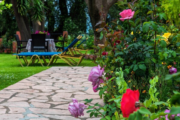 A garden pathway with a stone pavement, surrounded by lush greenery and flowering plants.