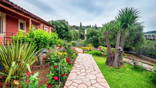 A stone pathway leading to a building with a red facade, surrounded by lush greenery and flowering plants.