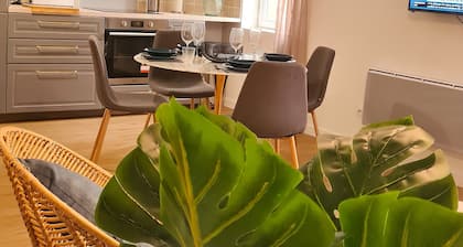 Superbe Appartement au coeur du centre ville