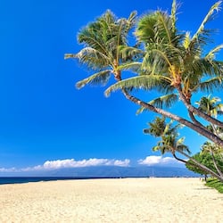 Condo (3 Bedrooms) | Front of property