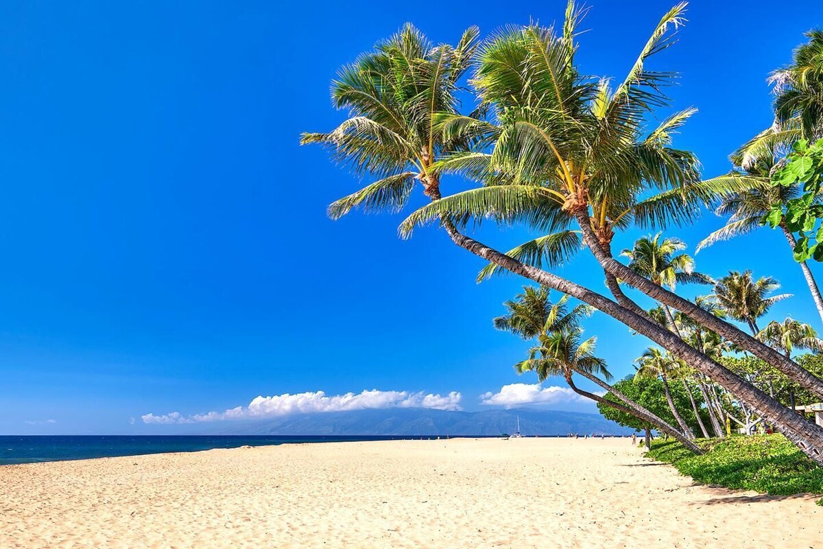 Una playa con palmeras y un cielo azul despejado.