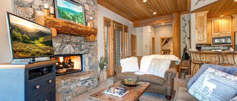 Télévision, cheminée, lecteur de DVD