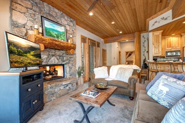 TV, fireplace, DVD player