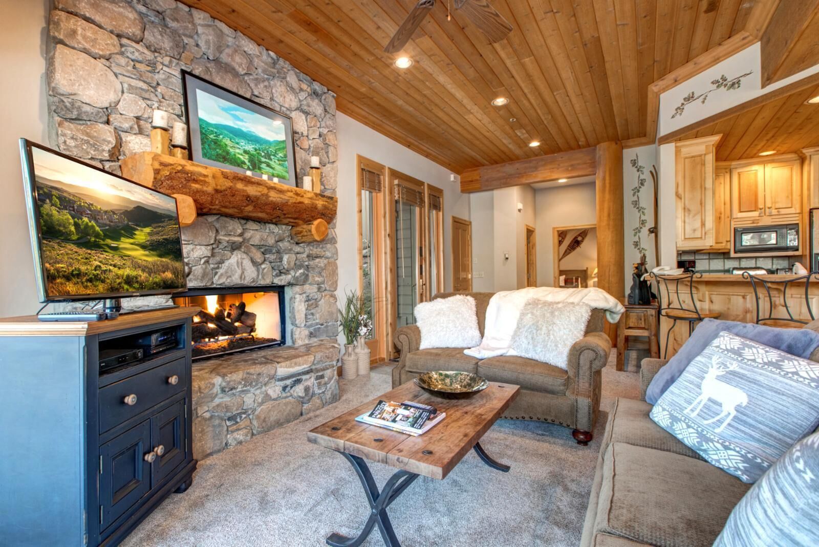 Studio (4 Bedrooms) | Living room | TV, fireplace, DVD player