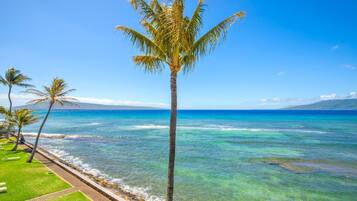 Appartement (2 Bedrooms) | Kameruitzicht