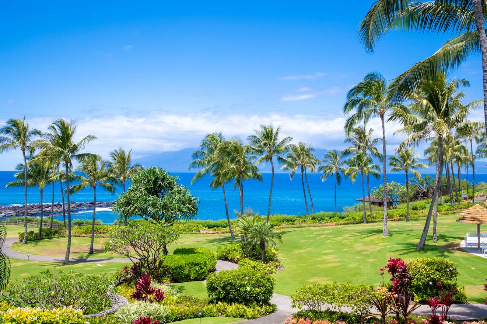 A tropical resort with a golf course, palm trees, and a view of the ocean.