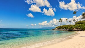 Una playa con agua turquesa cristalina, orilla de arena y palmeras.
