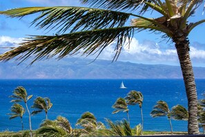 Apartment (3 Bedrooms) | Ausblick vom Zimmer