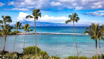 Condo (3 Bedrooms) | View from room