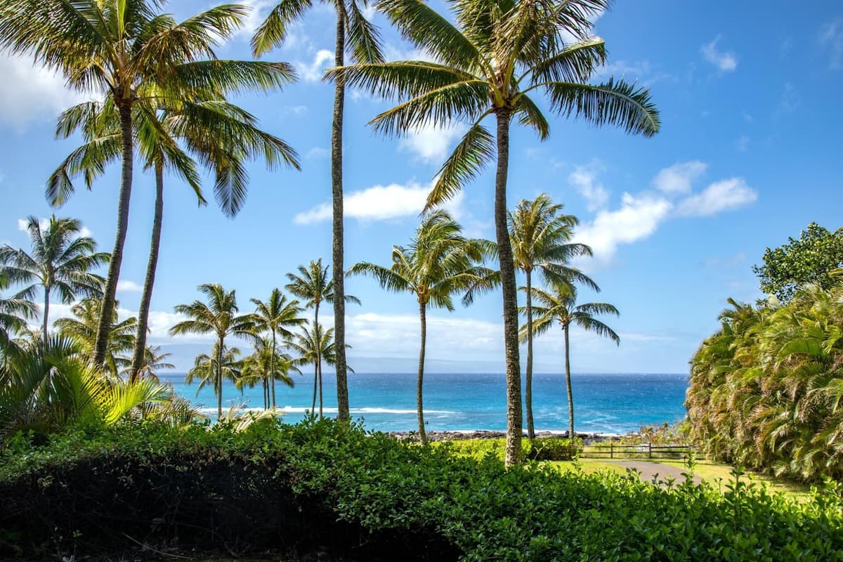 Condo (3 Bedrooms) | Front of property
