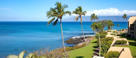 Condo, 2 Bedrooms, Balcony, Oceanfront (NAP-C31) | Terrace/patio