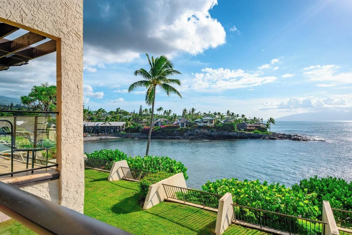 A coastal view with a palm tree, a grassy area, and a building with a balcony.