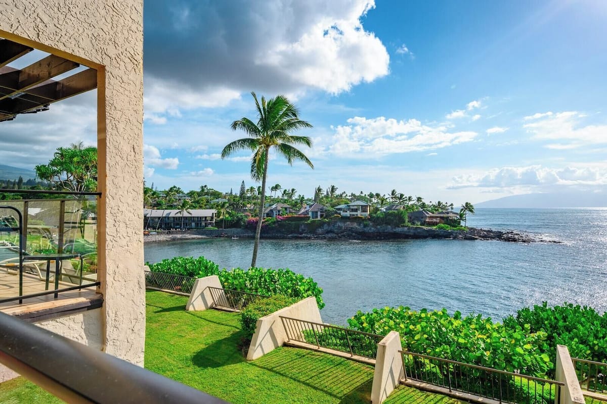 A coastal view with a palm tree, a grassy area, and a body of water.