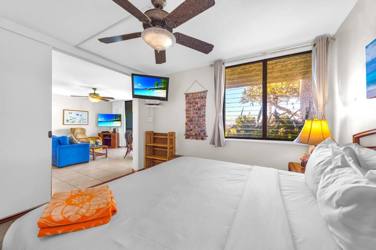 A hotel room with a bed, a television, a ceiling fan, a window with curtains, and a view of the outdoors.