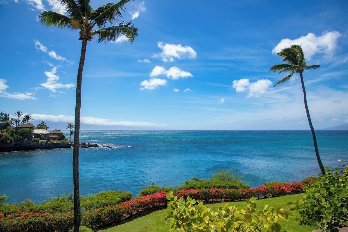 A coastal view with palm trees, a clear sky, and a calm sea.