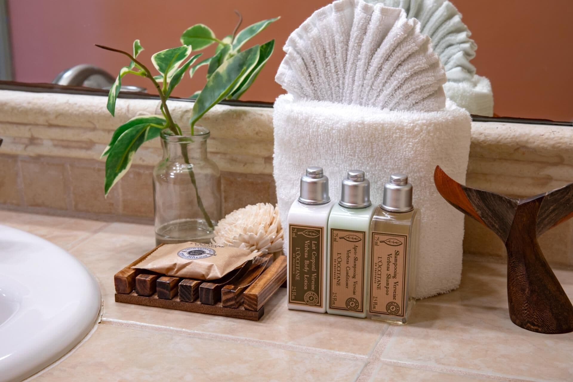 Ein Badezimmer mit Waschbecken, Handtuch, Pflanze und Flaschen mit Körperpflegeprodukten von L'Oréal.