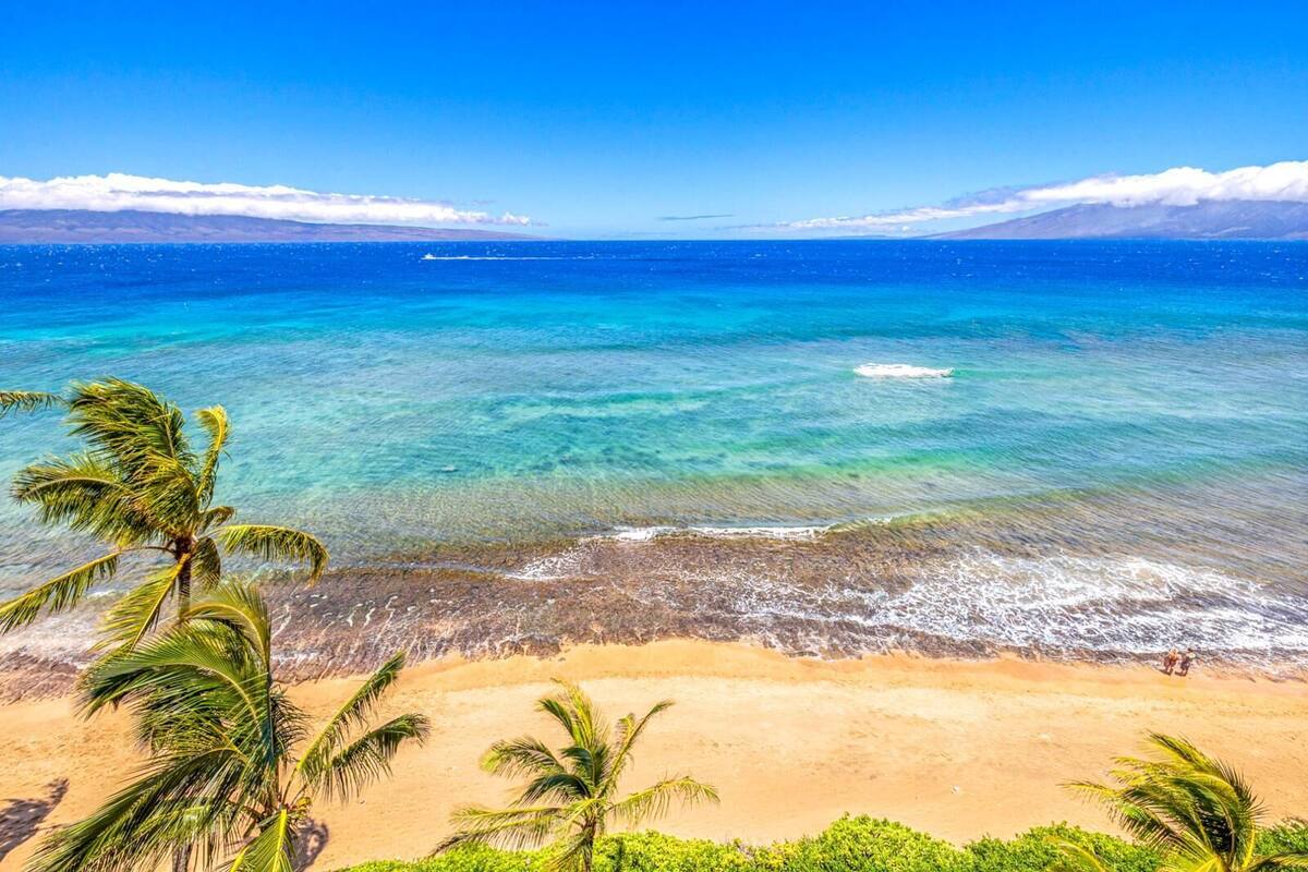 A beach with clear turquoise waters, a sandy shore, and palm trees.
