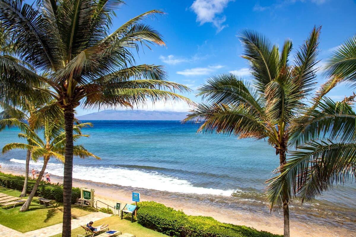A beach view with palm trees, a clear sky, and a sign indicating a beach area.