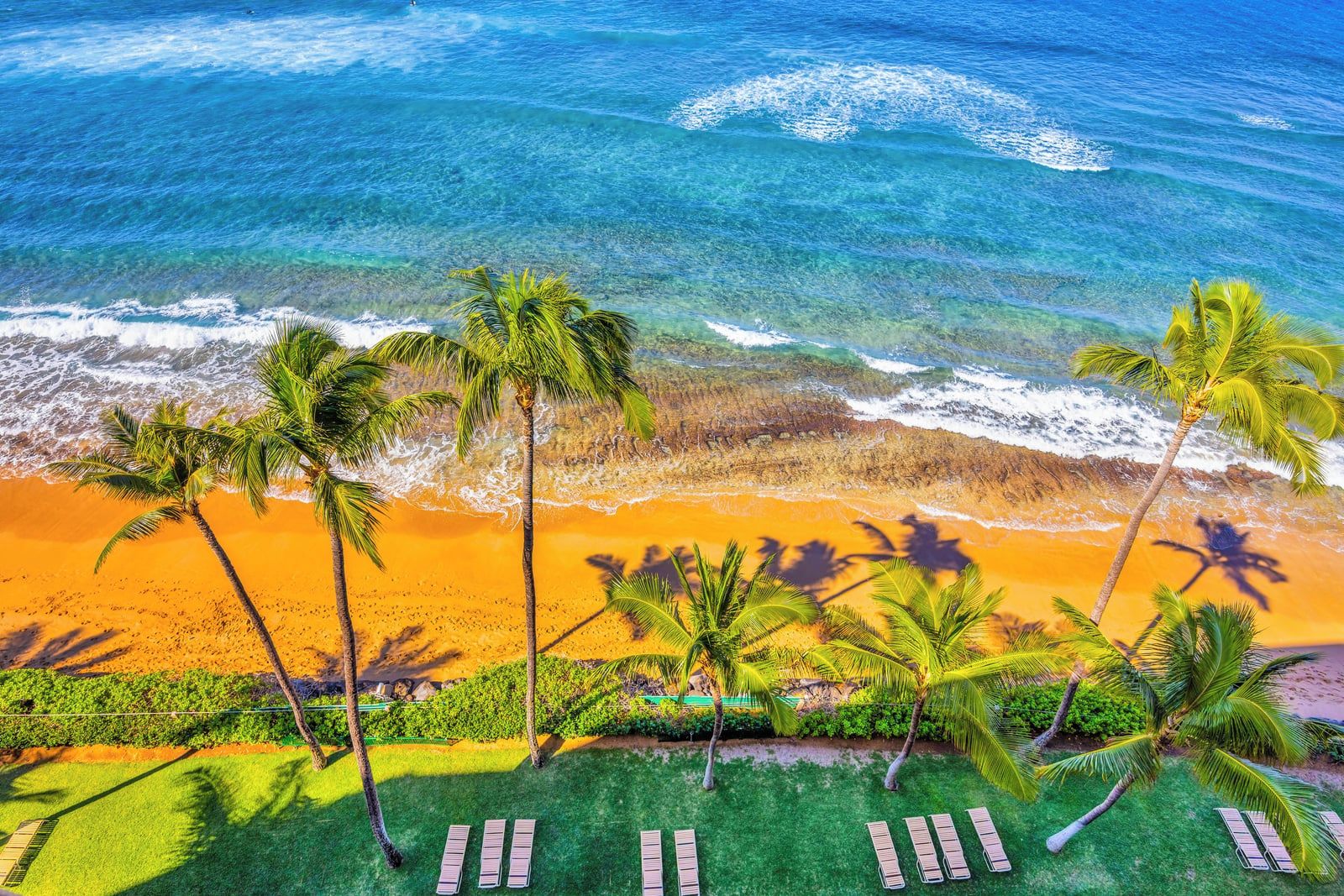 Una playa con palmeras y olas del océano.