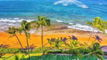Una playa con palmeras y olas del océano.