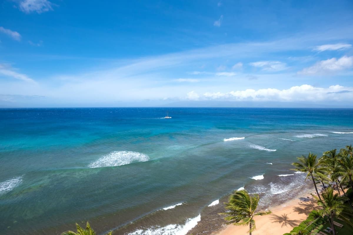 Condo (6 Bedrooms) | Front of property