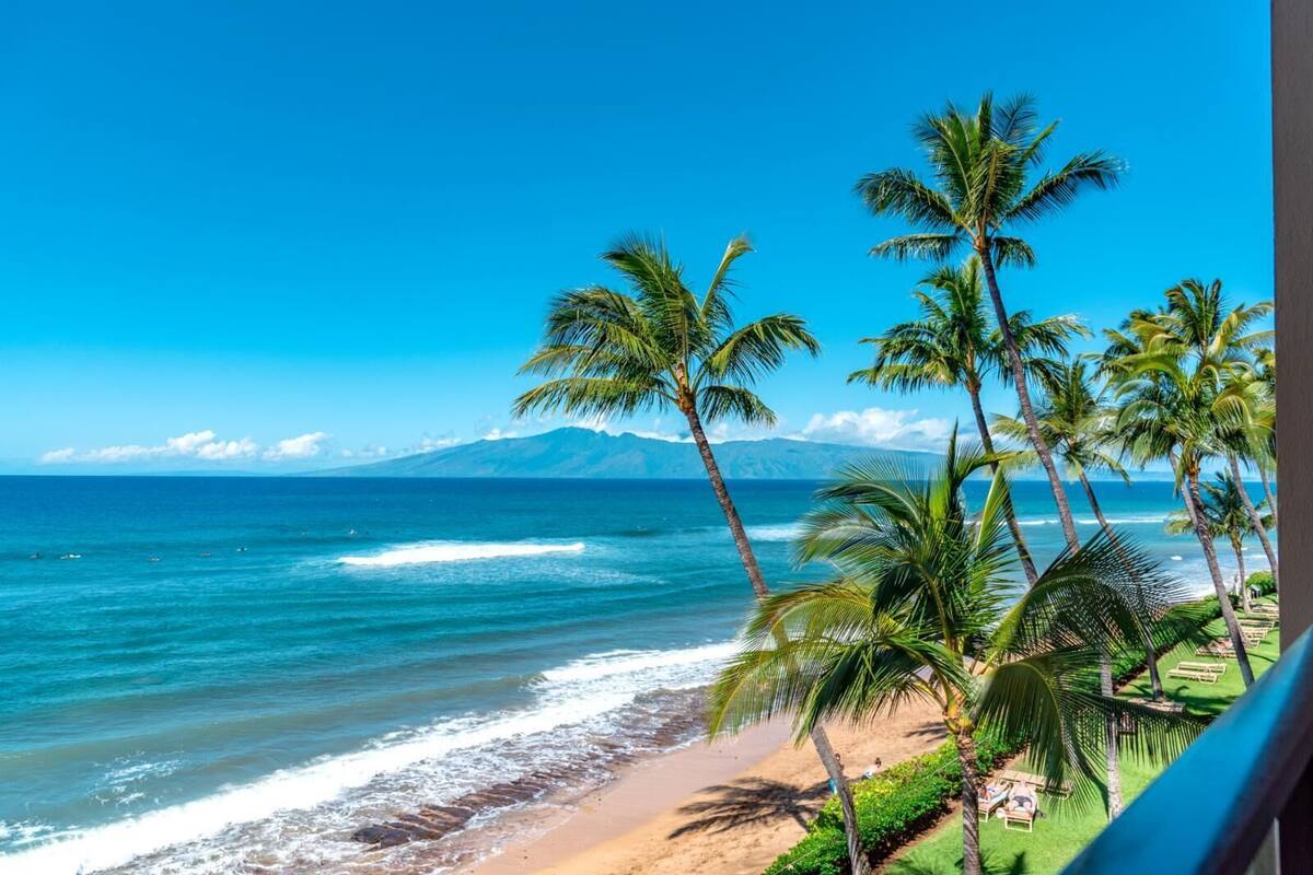 A beach with palm trees and a view of the ocean.