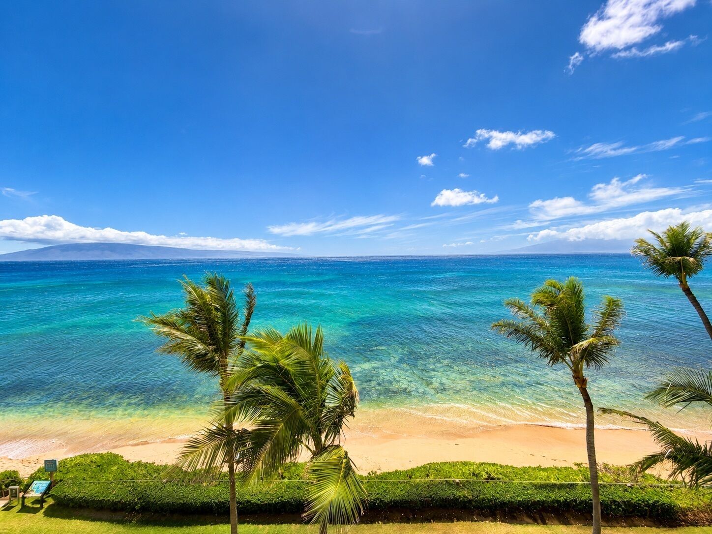 A beach with clear turquoise water, palm trees, and a distant mountain.