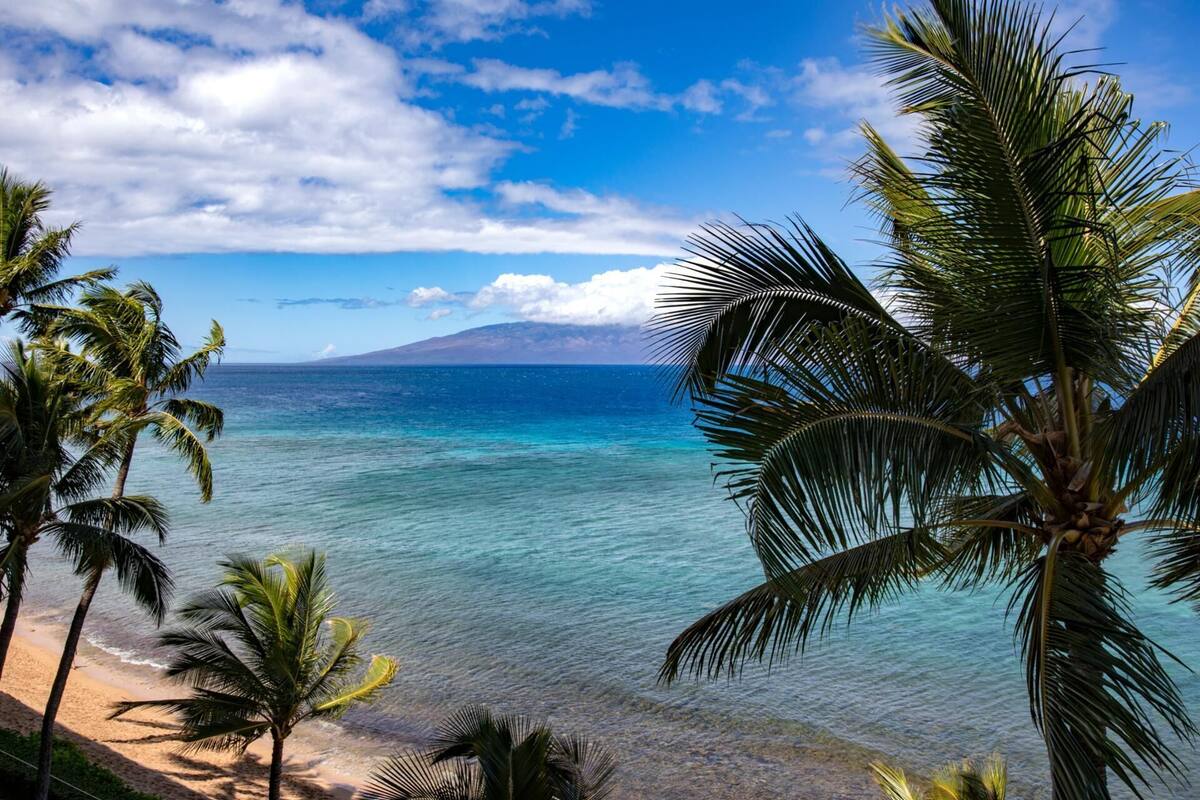 A beach with clear turquoise water, palm trees, and a mountain in the background.